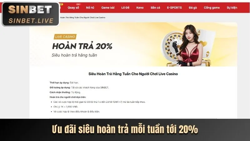 Cẩm nang chơi casino vin77722